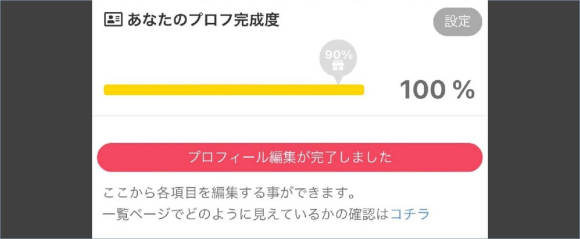 PCMAX プロフィール 完成度100%