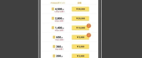 PCMAXのクレジットカード払いの料金表の実機画像