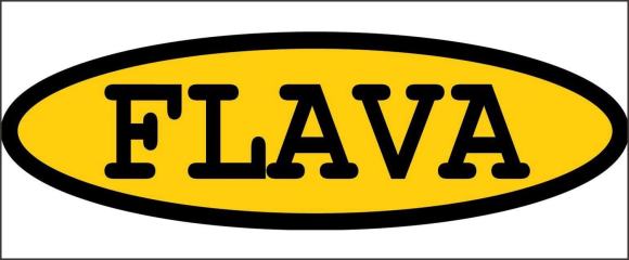 FLAVA