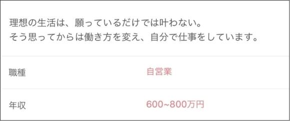 マルチ商法勧誘業者のプロフィール