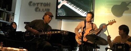 COTTON CLUB 