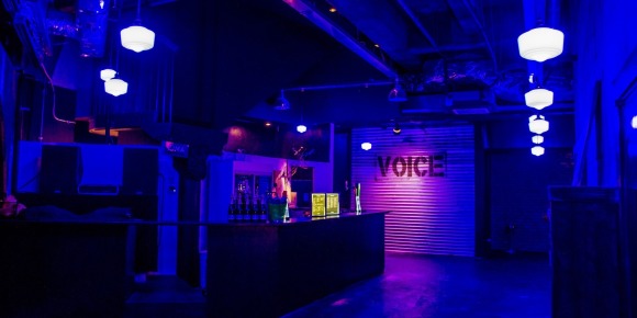 voice