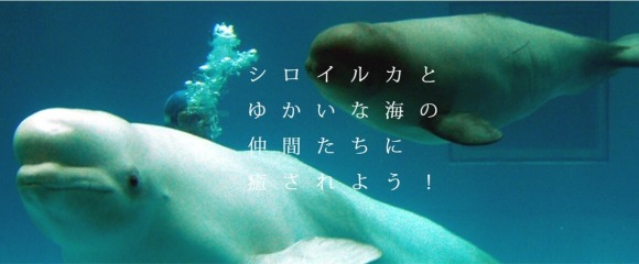 しまね海洋館アクアス
