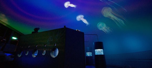 九十九島水族館 海きらら