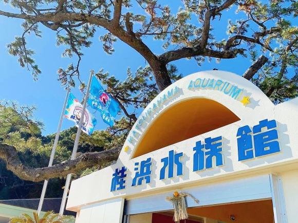 桂浜水族館(高知市)