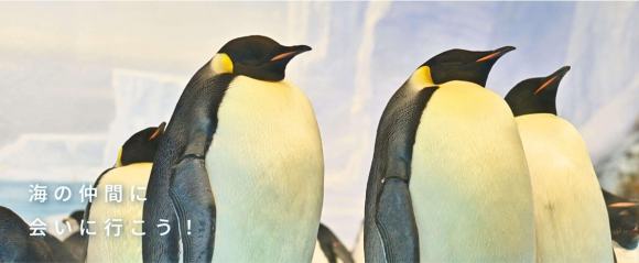 名古屋港水族館