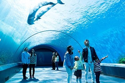 スポット①横浜・八景島シーパラダイス