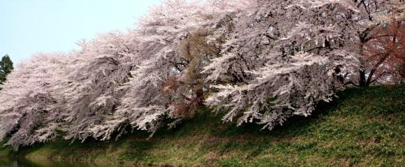 霞城公園