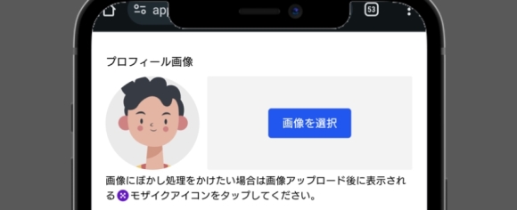 セクシャルマッチング 基本プロフィール