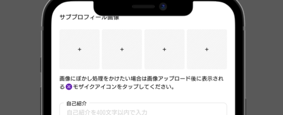 セクシャルマッチング 詳細プロフィール