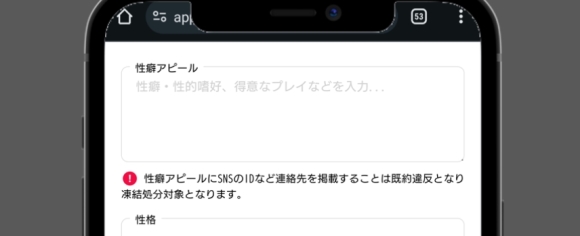 セクシャルマッチング 性癖プロフィール