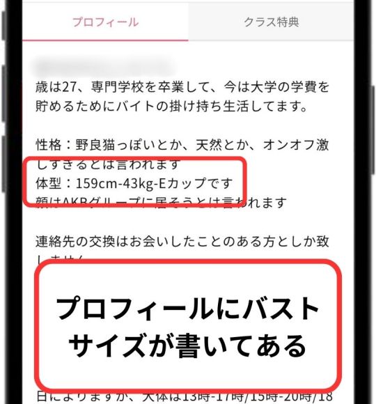 バストサイズが書いてあるプロフィール