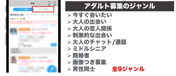 アダルト募集はおすすめしない