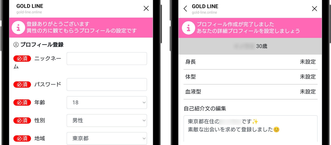 GOLD LINE 年齢確認をしないで登録が完了した