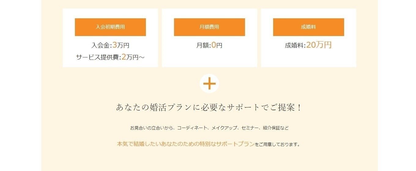 アネ婚 料金プラン