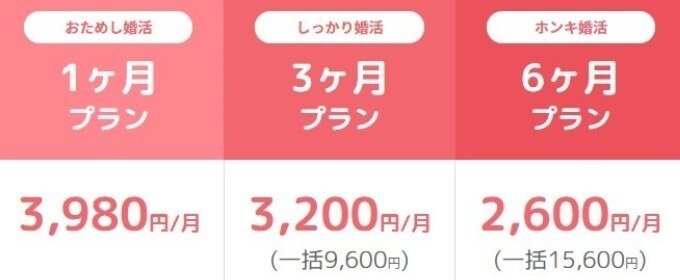 ブライダルネットの料金プラン