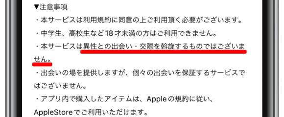 リアトーク　出会いを斡旋していない