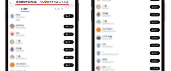 エロ系のアカウントをフォロー中の女性
