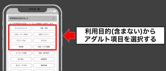 利用目的からアダルト項目を選択する