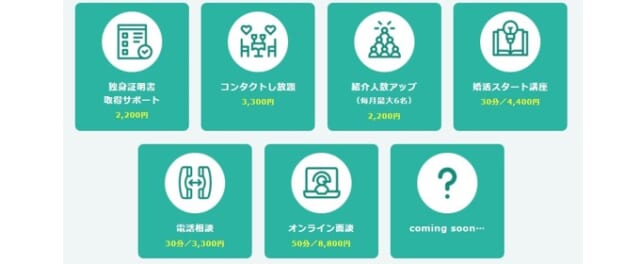 スマリッジ　オプション