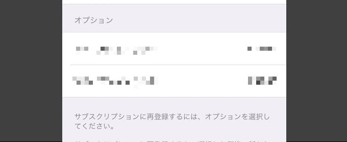 サブスクリプションオプション