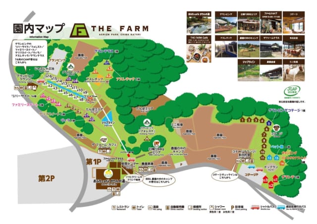 THE FARM