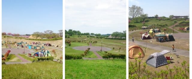 長沼フートピア公園 キャンプ写真