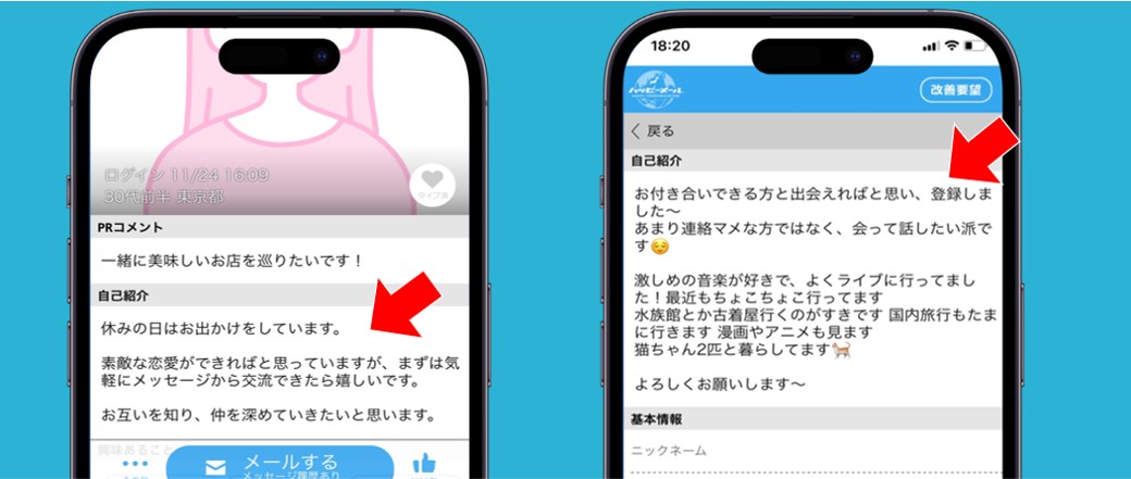 ハッピーメール素人女性のプロフィール